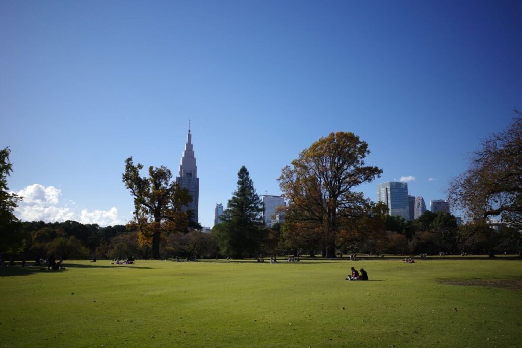 Image of SHINJUKUGYOEN YOYOGIPARK