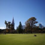 Image of SHINJUKU GYOEN NATIONAL GARDEN