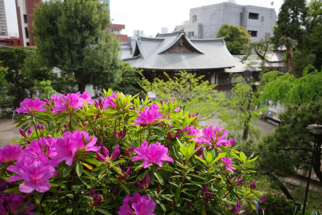 Image of HATONOMORI SHRINE