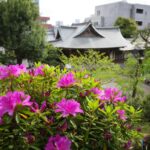 Image of HATONOMORI SHRINE