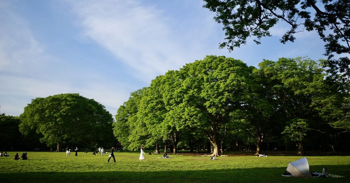 Image of YOYOGI PARK