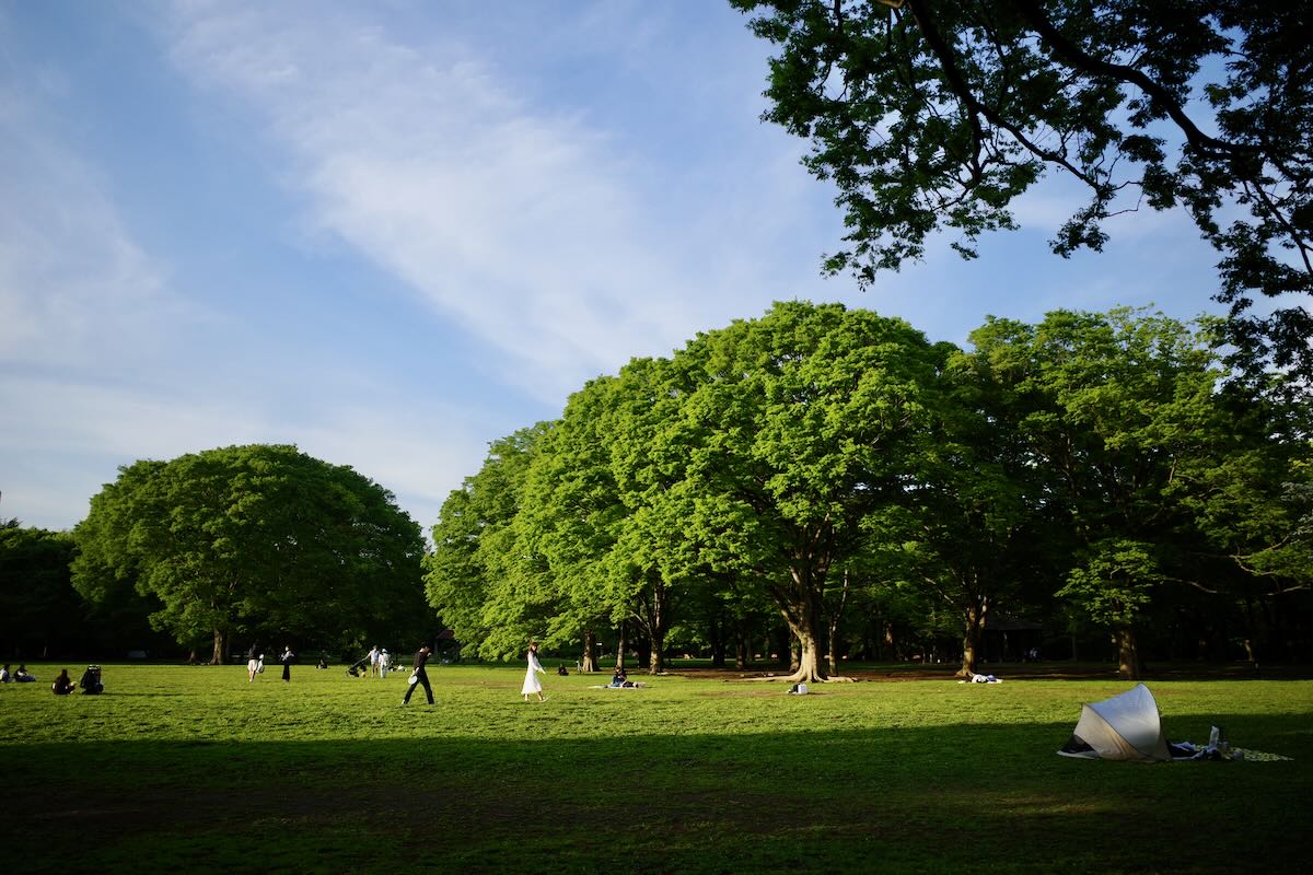 Image of YOYOGI PARK