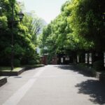 Image of KYU SHIBA RIKYU GARDEN