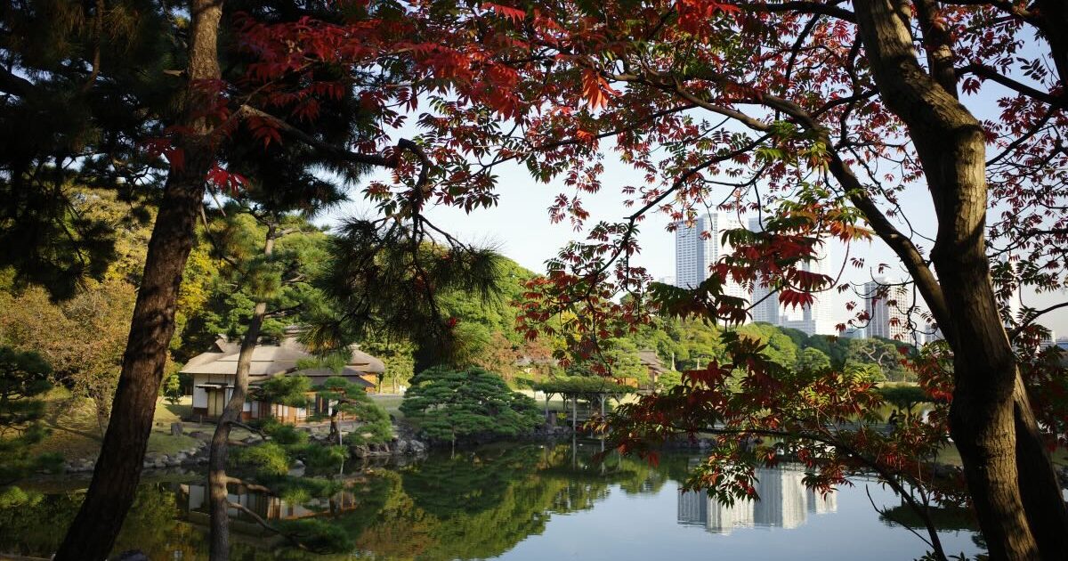 Image of HAMARIKYU GARDEN