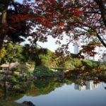 Image of HAMARIKYU GARDEN