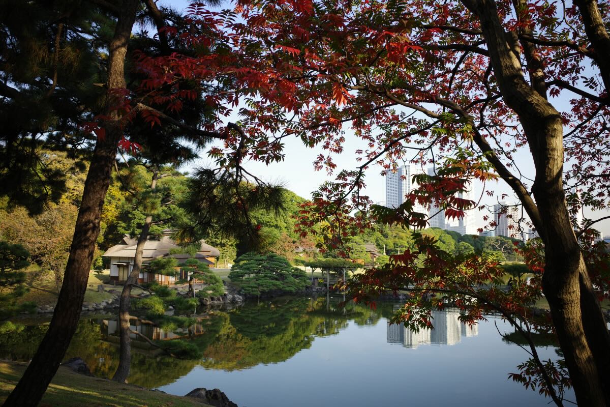 Image of HAMARIKYU GARDEN