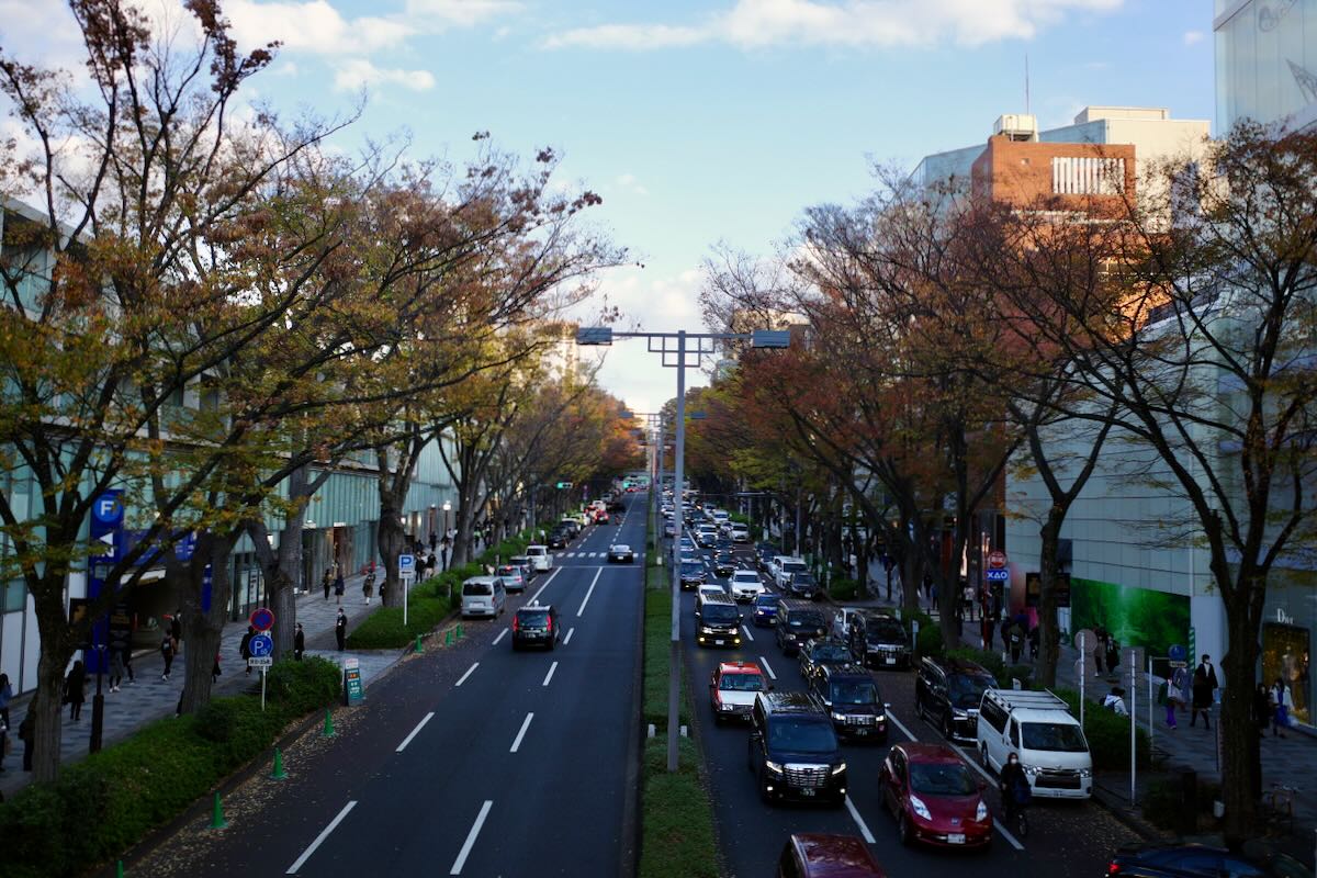 Image of A stylish walk from the Man-made Forest of Meiji Shrine through Omotesando to Aoyama.