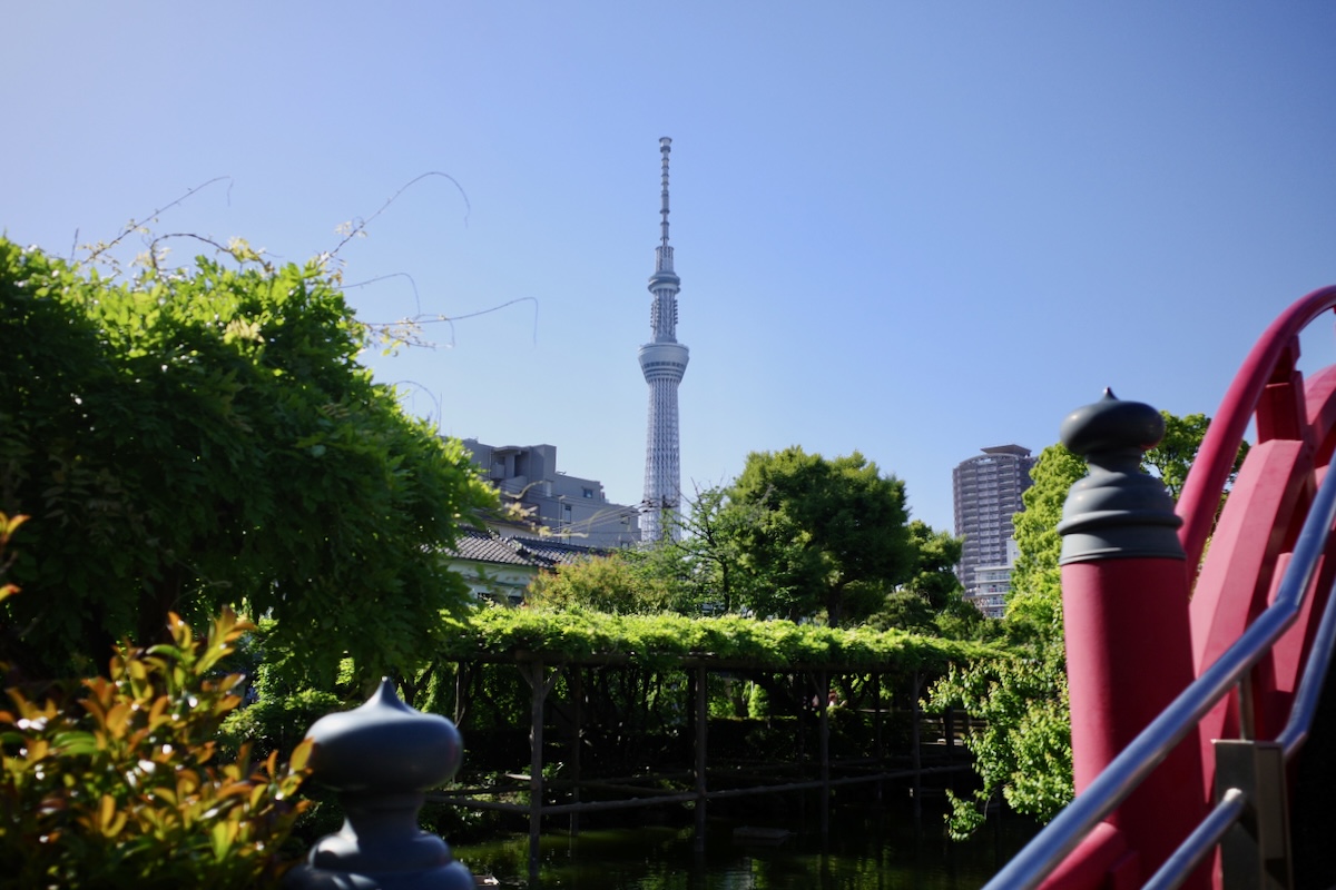 錦糸町で町中華を楽しんだら、東京スカイツリーを目指して亀戸天神やおしゃれなカフェ散策の画像