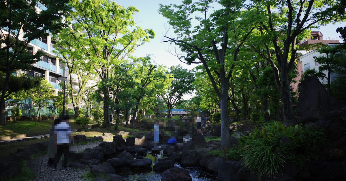 Image of OYOKOGAWA WATER PARK