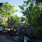 大横川親水公園の画像