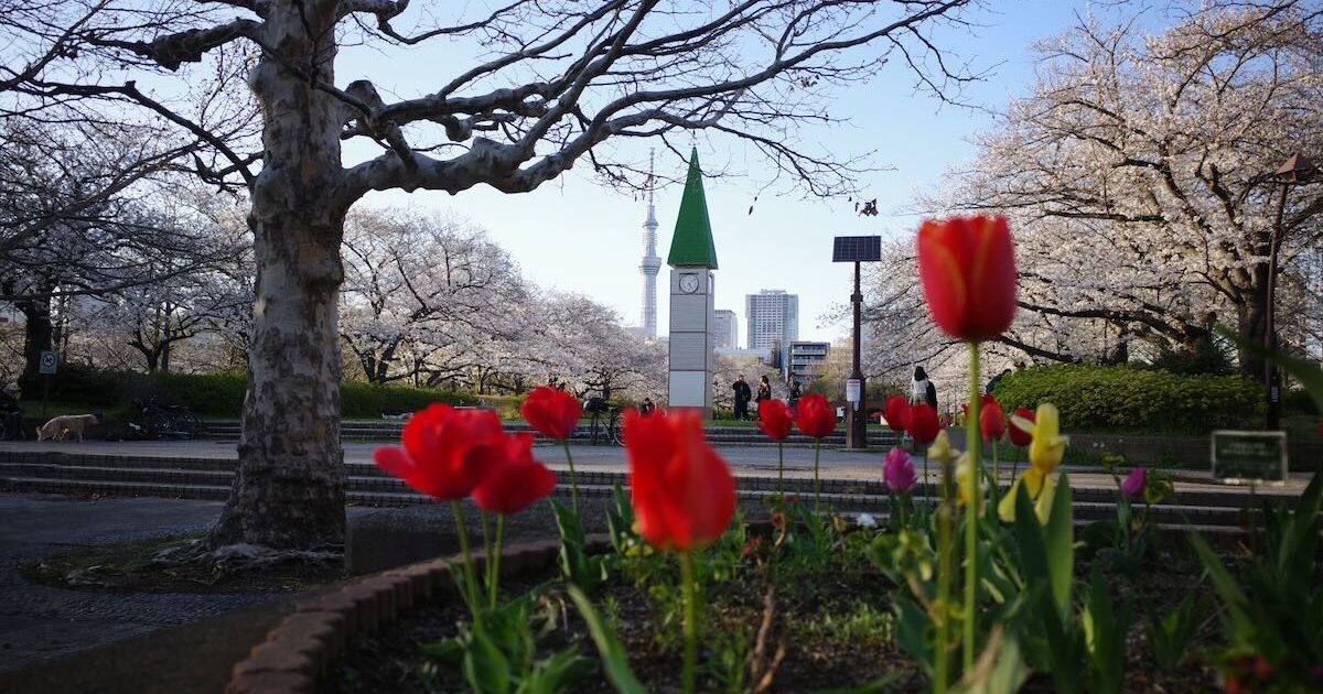 Image of SARUE ONSHI PARK