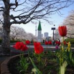 猿江恩賜公園の画像
