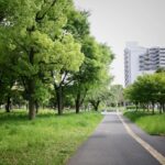 南砂三丁目公園の画像